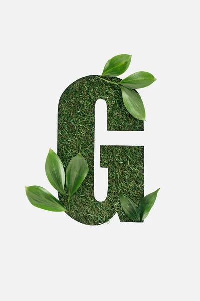 Vista superior de cortar a letra G no fundo de grama verde com folhas isoladas no branco — Fotografia de Stock