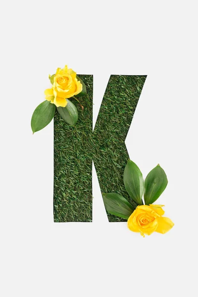 Верхний вид вырезанной буквы K на зеленом фоне травы с листьями и желтыми розами, выделенными на белом — стоковое фото