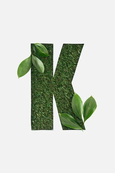 Вид сверху вырезанный буква K на зеленом фоне травы с листьями изолированы на белом — стоковое фото