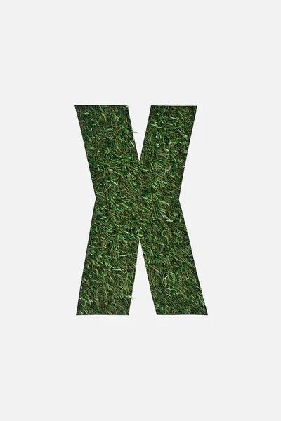 Vista dall'alto di ritagliare X lettera su sfondo erba verde isolato su bianco — Foto stock