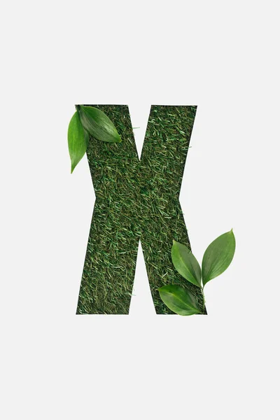 Vista dall'alto di ritagliare X lettera su sfondo erba verde con foglie isolate su bianco — Foto stock