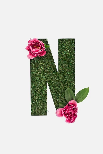 Top view of cut out N letter on green grass background with leaves and pink peonies isolated on white — Stock Photo