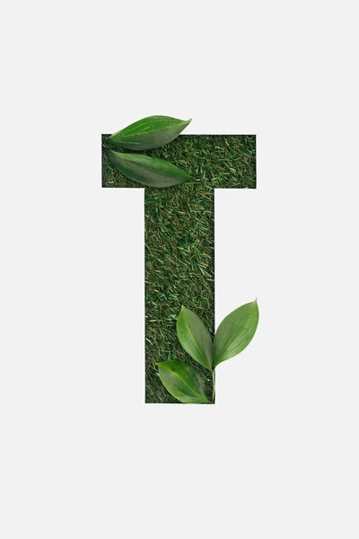 Top view of cut out T letter on green grass background with leaves isolated on white — Stock Photo