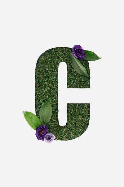 Vista superior de la letra C cortada sobre fondo de hierba verde con hojas y flores púrpuras aisladas en blanco — Stock Photo