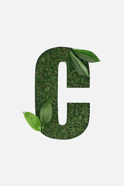 Ansicht von oben ausgeschnittene c Brief auf grünem Gras Hintergrund mit Blättern isoliert auf weiß — Stockfoto