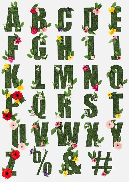 Листи від англійського алфавіту з зеленій траві зі свіжого листя та квітами ізольовані на білому — стокове фото
