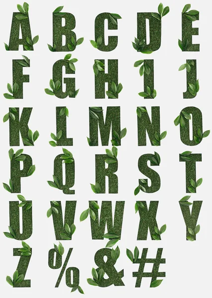 Letras del alfabeto inglés hechas de hierba verde con hojas frescas aisladas en blanco - foto de stock