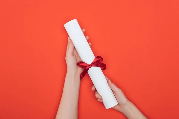 Vista recortada de la mujer que sostiene el diploma con cinta en la superficie roja - foto de stock