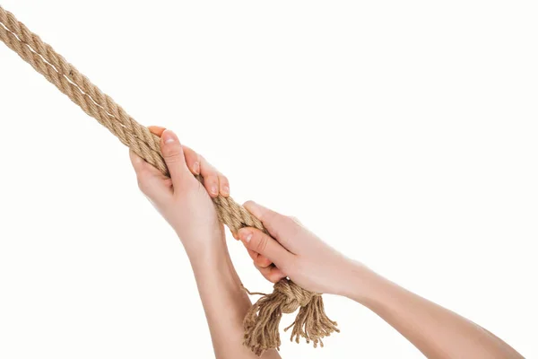 Обрізаний вид жінки, що тримає джутові коричневі мотузки в руках ізольовані на білому — стокове фото
