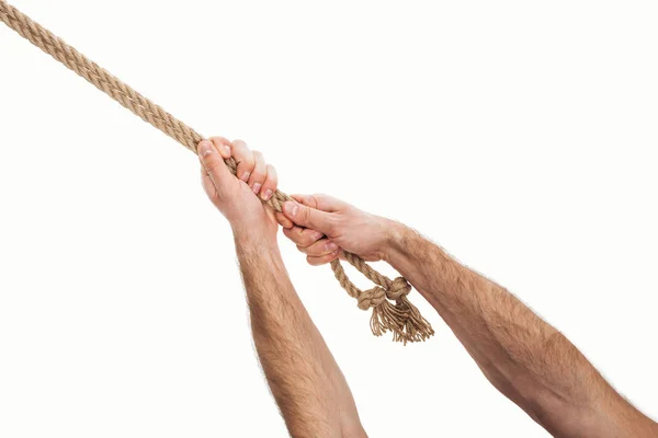 Visão cortada do homem segurando cordas de juta em mãos isoladas em branco — Fotografia de Stock