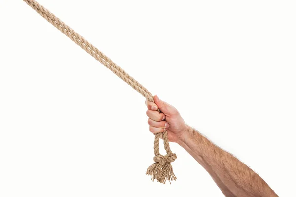 Cropped view of man holding brown ropes in hand isolated on white — Stock Photo