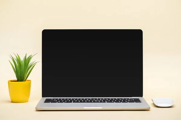 Laptop com tela em branco, mouse de computador e planta verde no fundo bege — Fotografia de Stock