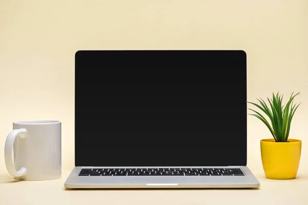 Ноутбук з порожнім екраном, чашкою і зеленою рослиною на бежевому фоні — стокове фото