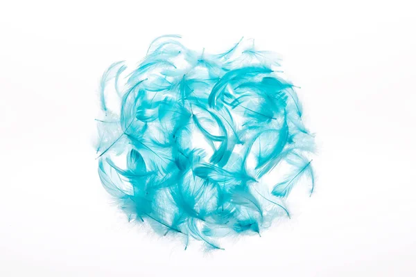 Circle of blue lightweight and soft feathers isolated on white — Stock Photo