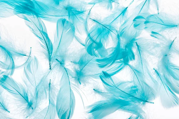 Бесшовный фон с голубыми легкими и яркими перьями, изолированными на белом — стоковое фото