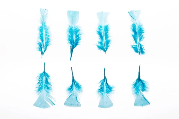 Rangées de plumes bleues claires et lumineuses isolées sur blanc — Photo de stock