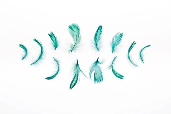 Filas de plumas verdes brillantes aisladas en blanco - foto de stock