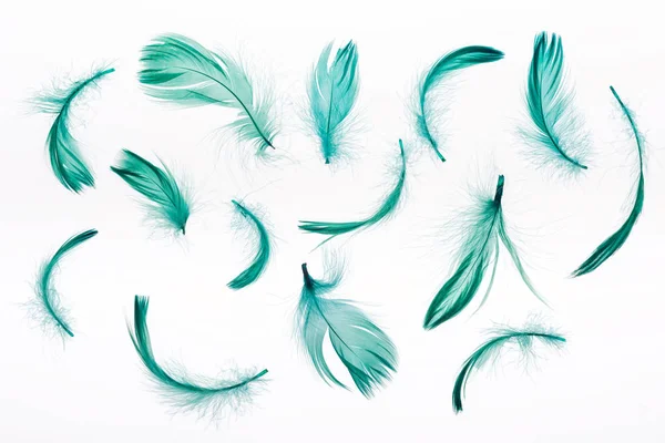 Fondo sin costuras con plumas verdes ligeras aisladas en blanco — Stock Photo