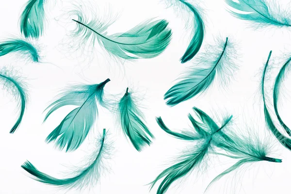 Seamless background with bright green soft feathers isolated on white — Stock Photo