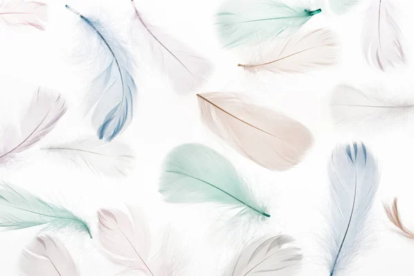 Бесшовный фон с разноцветными перьями, изолированными на белом — стоковое фото