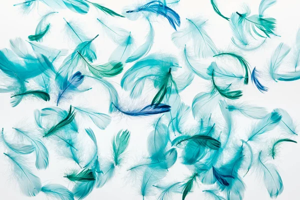 Seamless background with multicolored green and blue lightweight feathers isolated on white — Stock Photo