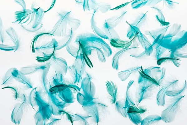 Seamless background with multicolored green and turquoise lightweight feathers isolated on white — Stock Photo