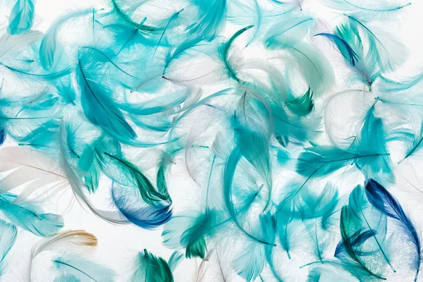 Fond sans couture avec des plumes multicolores vert vif, gris et turquoise isolé sur blanc — Photo de stock