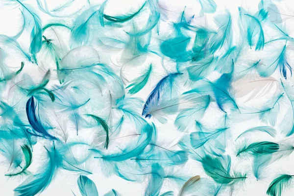 Fond sans couture avec des plumes douces vertes, grises et turquoise isolées sur blanc — Photo de stock