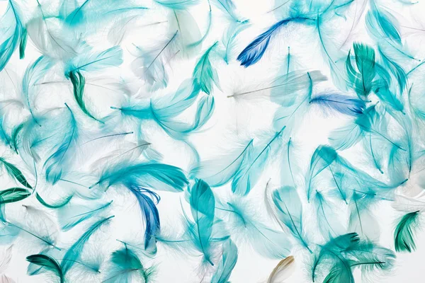 Fond sans couture avec des plumes douces multicolores vertes, grises et turquoise isolées sur blanc — Photo de stock