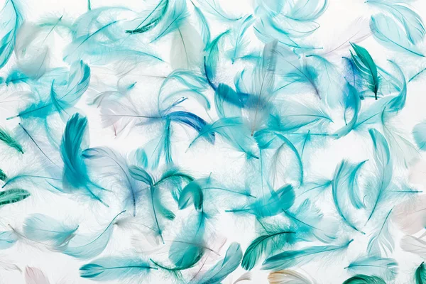 Seamless background with multicolored green, grey and turquoise feathers isolated on white — Stock Photo