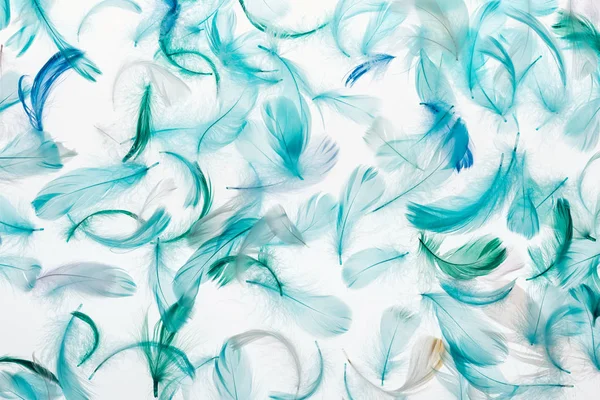 Fond sans couture avec des plumes légères multicolores vertes, grises et turquoise isolées sur blanc — Photo de stock