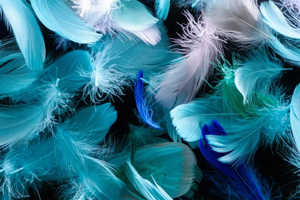Seamless background with bright blue, green and turquoise soft feathers isolated on black — Stock Photo