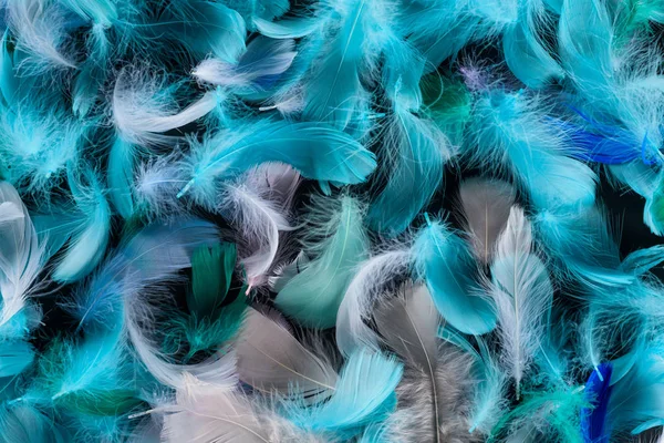 Fondo sin costuras con plumas suaves azules, verdes y turquesas aisladas en negro - foto de stock