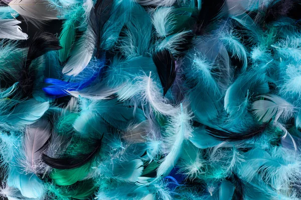 Nahtloser Hintergrund mit leuchtend blauen, grünen und türkisfarbenen Federn isoliert auf schwarz — Stockfoto