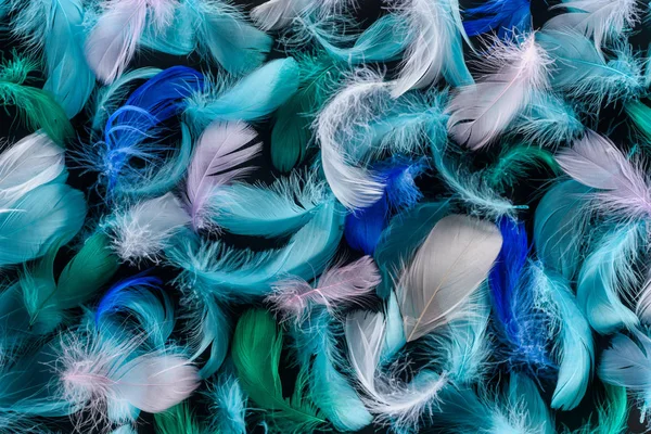 Seamless background with bright blue, green and pink soft feathers isolated on black — Stock Photo