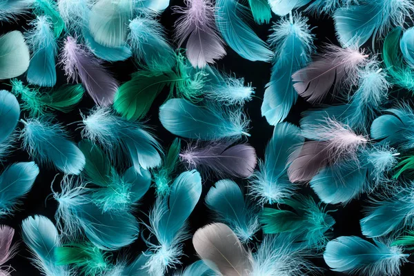 Fondo sin costuras con plumas coloridas y suaves aisladas en negro - foto de stock