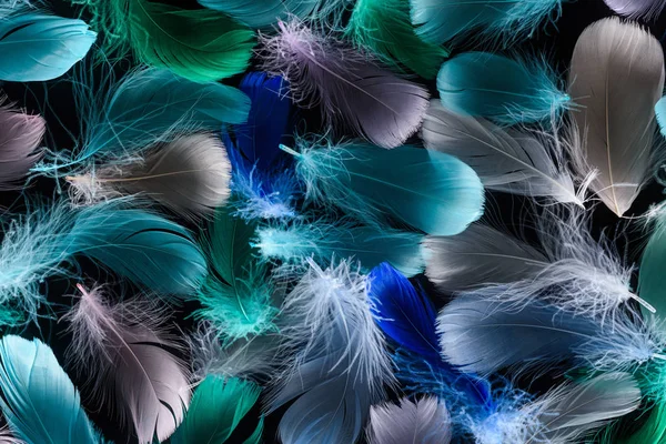 Fundo sem costura com plumas brilhantes multicoloridas isoladas em preto — Fotografia de Stock