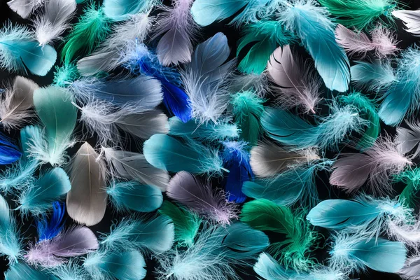 Seamless background with multicolored light plumes isolated on black — Stock Photo