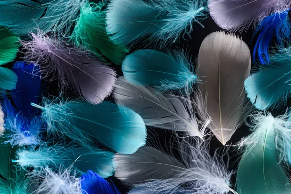 Seamless background with multicolored light feathers isolated on black — Stock Photo