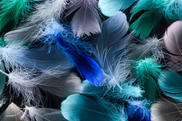 Fondo sin costuras con plumas blandas multicolores aisladas en negro - foto de stock