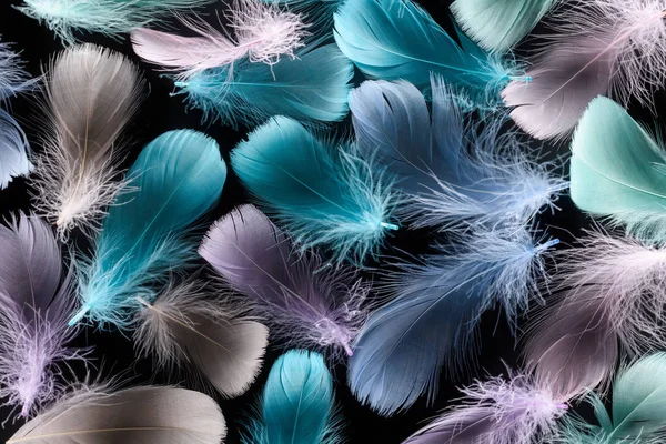 Fundo sem costura com plumas macias multicoloridas isoladas em preto — Fotografia de Stock