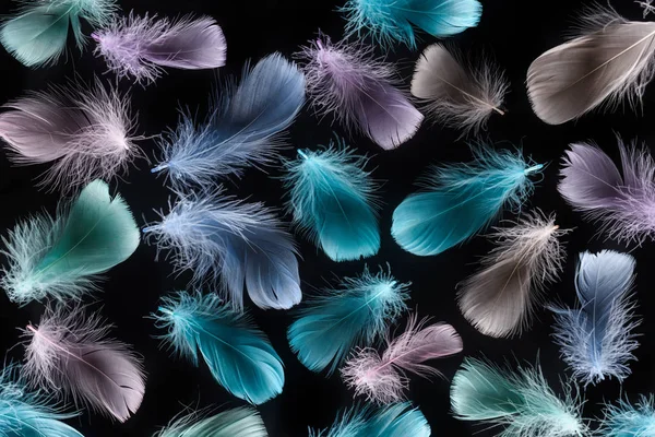 Seamless background with multicolored soft feathers isolated on black — Stock Photo