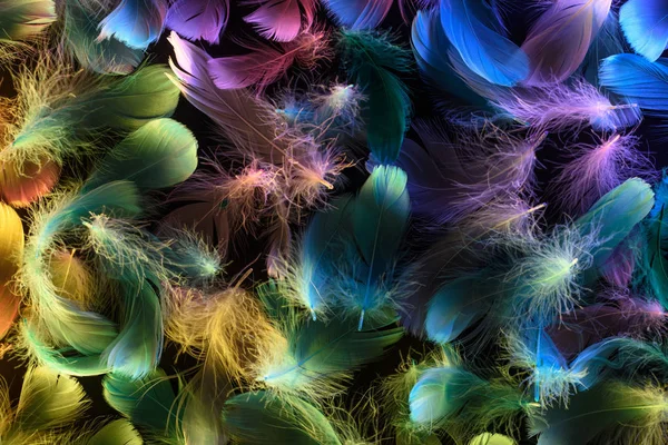 Fondo sin costuras de plumas suaves multicolores de neón brillante aisladas en negro - foto de stock
