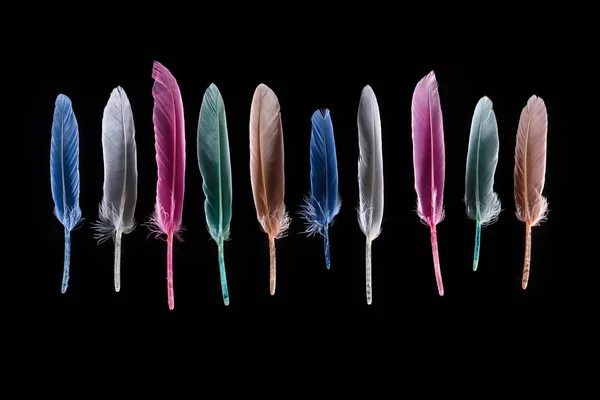 Rangée de plumes colorées douces et lumineuses isolées sur noir — Photo de stock