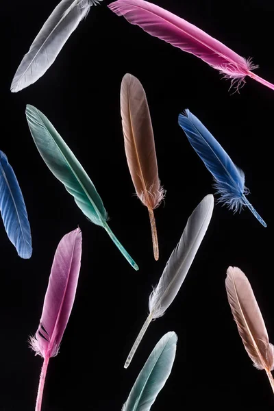 Seamless background with bright soft colorful feathers isolated on black — Stock Photo