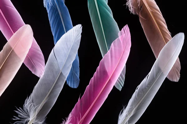 Patrón sin costuras con plumas de colores brillantes aislados en negro - foto de stock