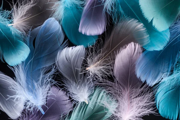 Fond sans couture avec des plumes vert clair, violet et bleu isolé sur noir — Photo de stock