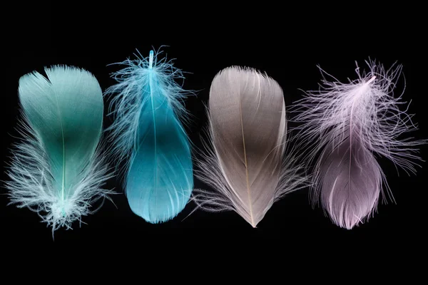 Plumas de luz verde, azul, cinza e rosa isoladas em preto — Fotografia de Stock