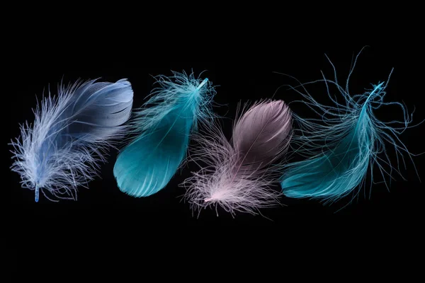 Plumas de luz verde, azul y rosa en fila aisladas en negro - foto de stock