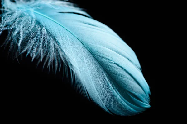 Close-up de pluma texturizada azul leve isolado em preto — Fotografia de Stock